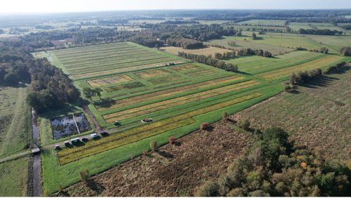 Figuur 5. Grootschalige veenmos paludicultuur in Duitsland in 2022. Foto:  Ralph J.M. Temmink