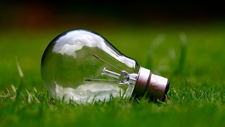 light-bulb-grass-bulb-energy-preview